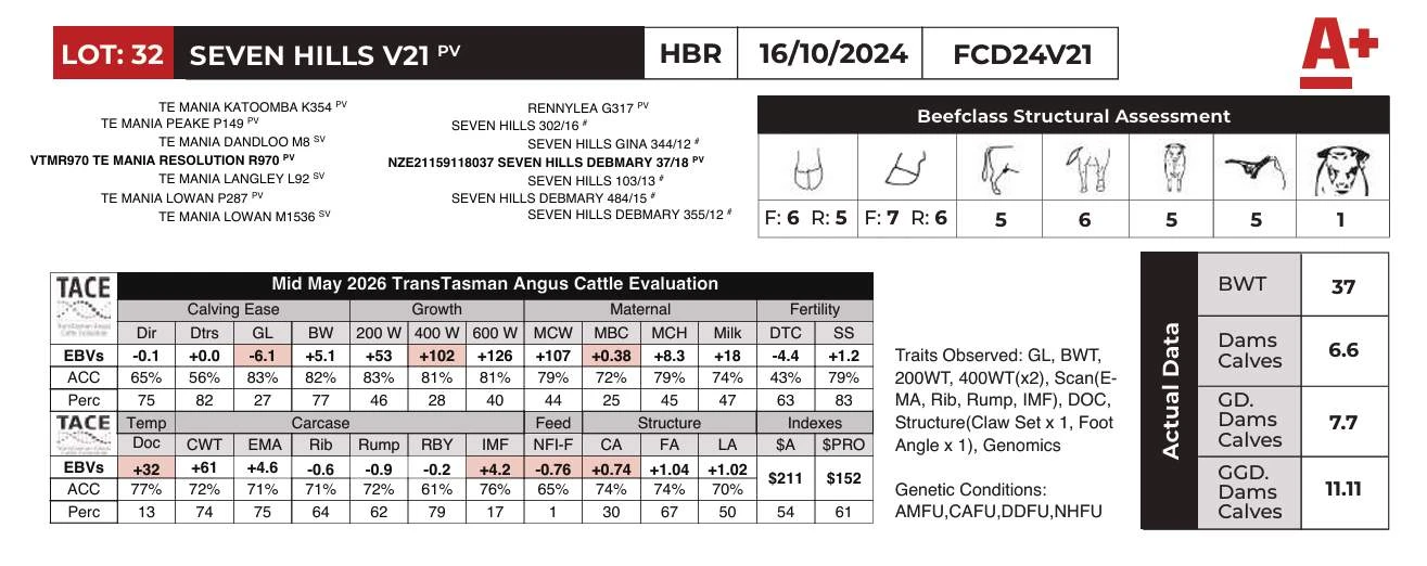 Lot 32 SEVEN HILLS V21 PV