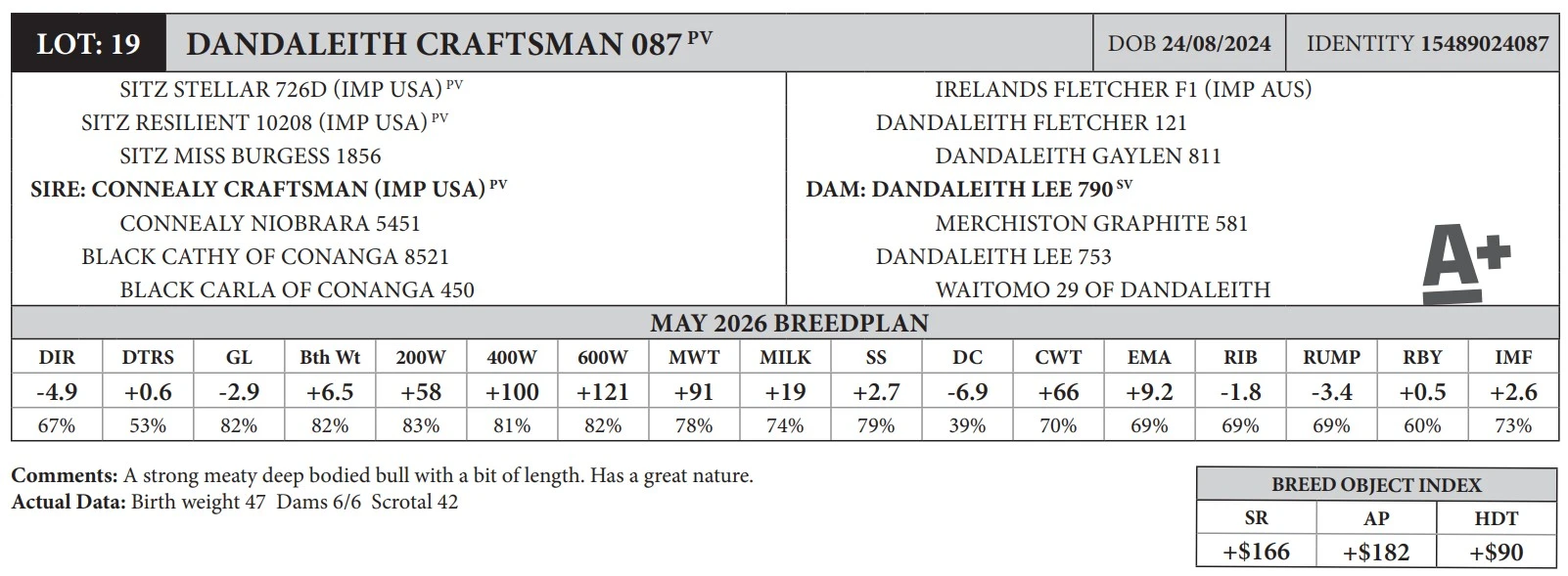 Lot 19 DANDALEITH CRAFTSMAN 087